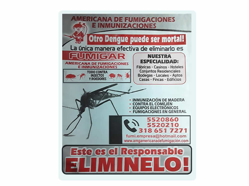 La manera efectiva de eliminar el dengue